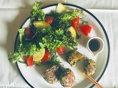 vegan hamburger steak